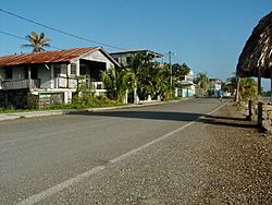 Punta Gorda Belize road-gm.jpg