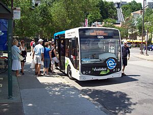 Archivo:Quebec ecolobus 0895