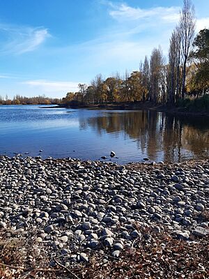 Archivo:Río Limay Senillosa