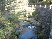 Archivo:Rio Cea a su paso por Las Conjas
