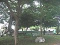 Sabacché (Tecoh), Yucatán (02)