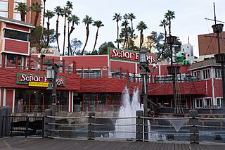 Señor Frog's- 2021-01-23.jpg
