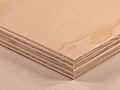 Spruce plywood