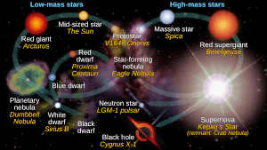 Archivo:Star life cycles red dwarf en
