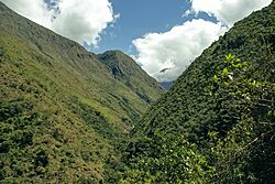 Sud Yungas, Municipio de Yanacahi.jpg