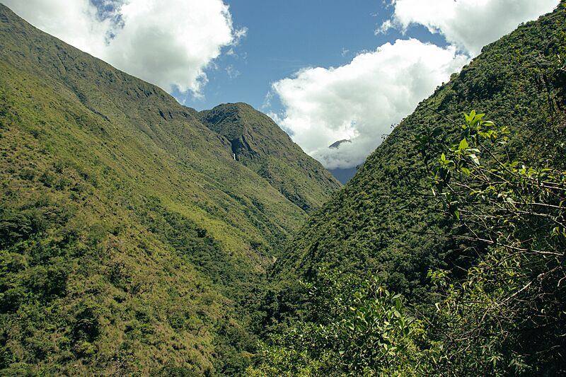 Sud Yungas, Municipio de Yanacahi