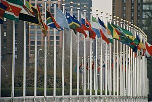 Archivo:UN Members Flags