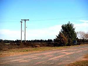 Archivo:Unanue rural