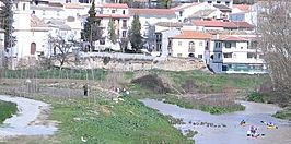 Vista del río Genil a su paso por Villanueva Mesía