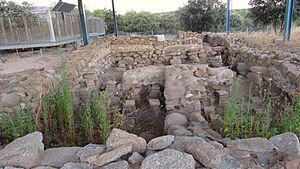 Archivo:Yacimiento Arqueológico Ruinas 4
