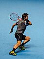 2014-11-12 2014 ATP World Tour Finals Stanislaw Wawrinka footwork by Michael Frey