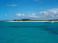 Archivo:Anguilla Prickly-Pear