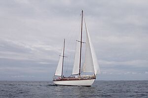 Archivo:Aquarius Plan Cornu