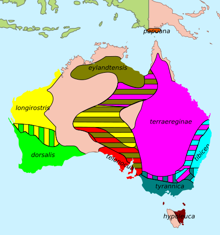Archivo:Australian Magpie - distribution