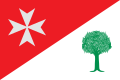 Bandera de Binaced.svg