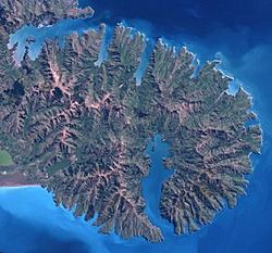 Banks Peninsula from space.jpg