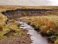 Bend in the River Ashop - geograph.org.uk - 155858