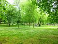 Bilbao - Jardines de la Santa y Real Casa de la Misercordia 01