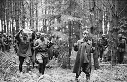 Archivo:Bundesarchiv Bild 101I-020-1268-10, Russland, Süd, Gefangennahme russischer Soldaten
