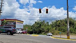 Carretera PR-110, Añasco, Puerto Rico (1).jpg