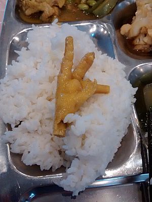 Archivo:Chicken foot on rice