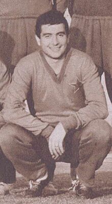 Cornel Pavlovici 1965 (cropped).jpg