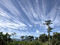 Cyrus Cloud above Balepanjang - Wonogiri, Central Java. Indonesia
