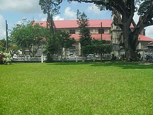 Archivo:Derek Walcott Square with Basilica of the Immaculate Conception in background