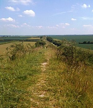 Archivo:Devil's Dyke Cambs
