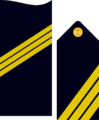 Divipalaarmadaes 09
