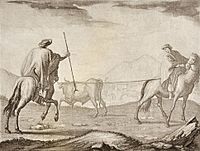 Archivo:Enlazando ganado en las pampas - Fernando Brambilla - 1794