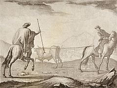 Enlazando ganado en las pampas - Fernando Brambilla - 1794