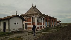 Archivo:Estación de Ciruelos de Coca 5