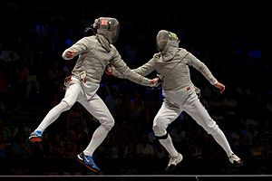 Archivo:Final 2013 Fencing WCH SMS-IN t202316