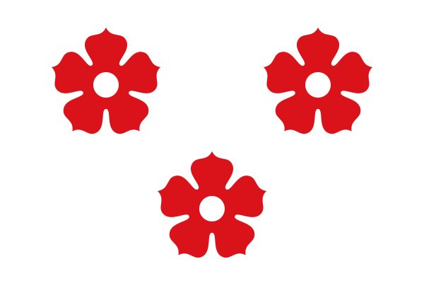 Flag of Ardooie