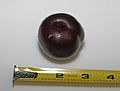 Flavorosa pluot