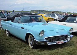 Ford Thunderbird (ca 1957) at Schaffen-Diest (2014)
