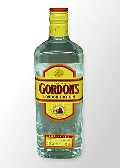 Gordons London Dry Gin im Regal.jpg