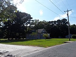 Greenbackville street scene.jpg