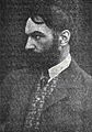 GustauViolet