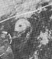 Hallie1975