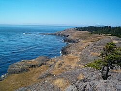 Iceberg Point Lopez Island Washington USA.jpeg
