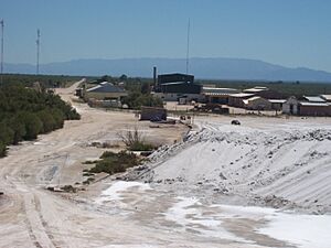 Archivo:Industria de la sal en Salinas del Bebedero
