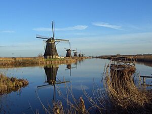 Archivo:KinderdijkMolens02