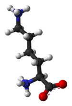 Archivo:L-lysine-monocation-from-hydrochloride-dihydrate-xtal-3D-balls
