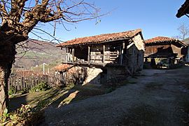 Archivo:La Aldea (Laviana), casa y hórreo