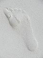 Maldives 00133