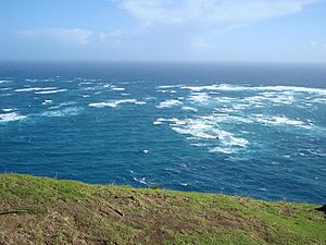 Archivo:Meeting point of Tasman Sea and Pacific Ocean