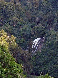 Archivo:Mokau Falls