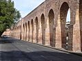 Morelia4